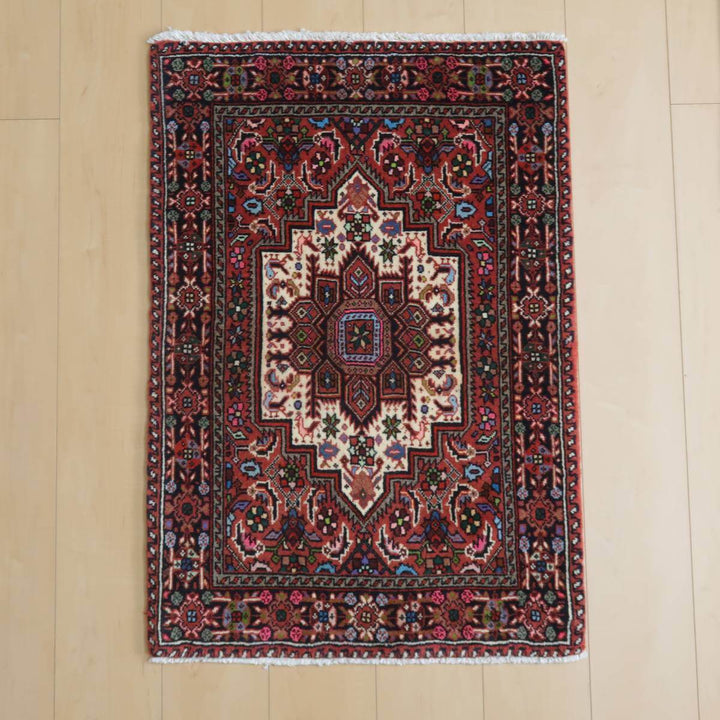 高級ペルシャ絨毯ビジャー 90×62cm(FS-22187)