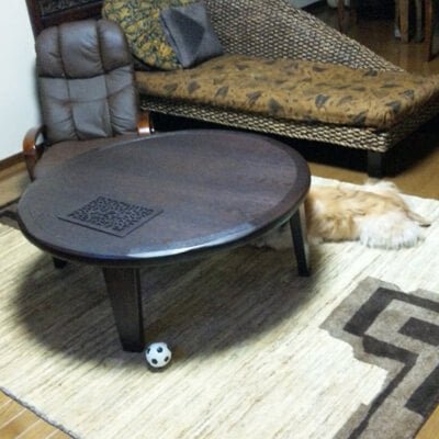 家具と色が調和してシックリとなじみました♪／2011-02-27 - ギャッベ（ギャベ）＆ペルシャ絨毯の店オリエンタルムーン【公式】