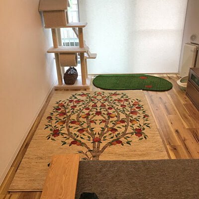 数秒で場所を猫に取られました。／2018-05-02 - ギャッベ（ギャベ）＆ペルシャ絨毯の店オリエンタルムーン【公式】