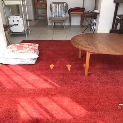 手入れしているうちに愛着が深まりそうです／2020-12-20 - ギャッベ（ギャベ）＆ペルシャ絨毯の店オリエンタルムーン【公式】