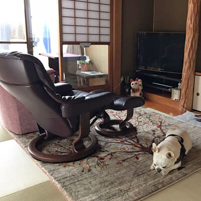 前から敷いてあったかのようなしっくり感です。／2022-04-21 - ギャッベ（ギャベ）＆ペルシャ絨毯の店オリエンタルムーン【公式】
