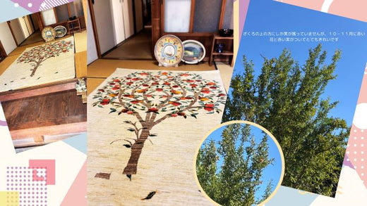 本物のザクロの木とザクロ柄のギャッベのコラボレーション