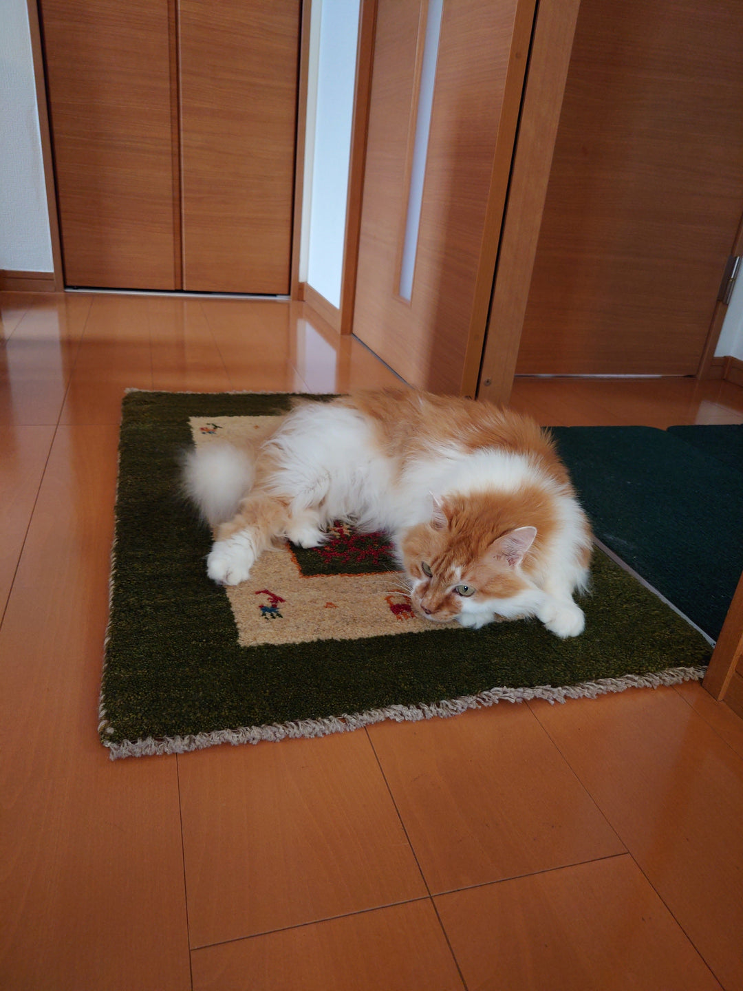 猫ちゃんもすぐにお気に入りに。ギャッベをお迎えいただきました