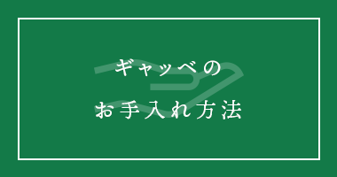 ギャッベのお手入れ方法 - ギャッベ（ギャベ）＆ペルシャ絨毯の店オリエンタルムーン【公式】