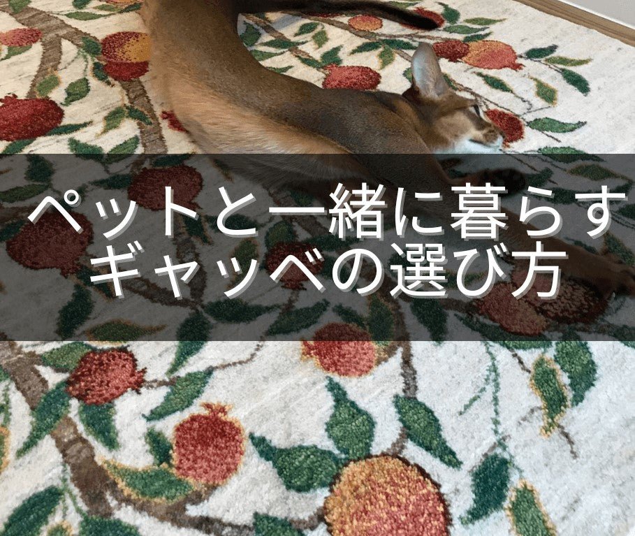 ペットと一緒に暮らす家庭でのギャッベの選び方 - ギャッベ（ギャベ）＆ペルシャ絨毯の店オリエンタルムーン【公式】