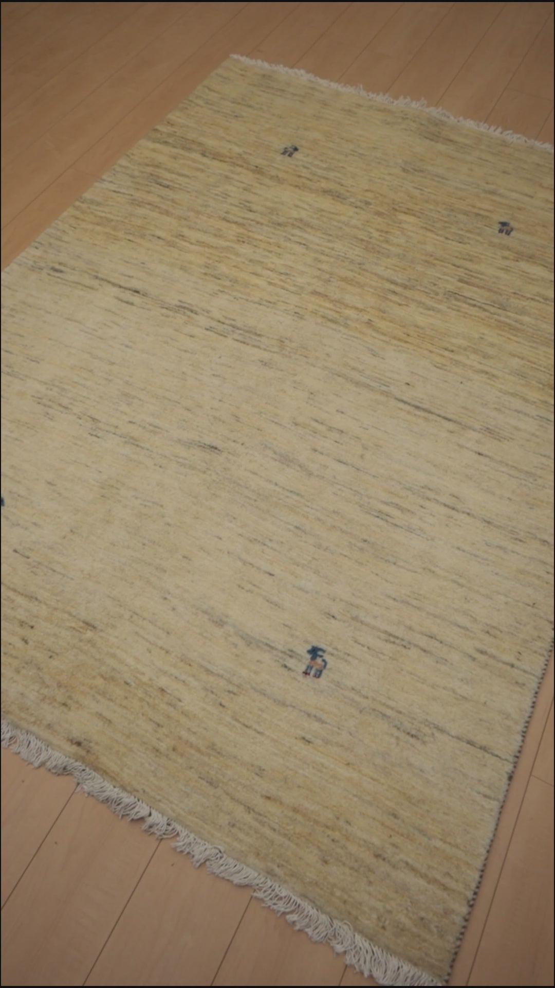 hl-12939 video
